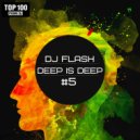 DJ FLASH - DEEP IS DEEP #5