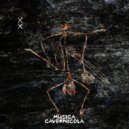 Pontias - Disorder