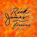 Rick James - Just Got Play (Original Mix)