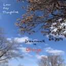 Low Key Trampoline - Noolix ()