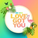 Dr. Vice - Love You Got