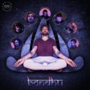 Cosmic Brahma - Psycibo Effect