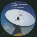 Capsule Network - 84963 Interception