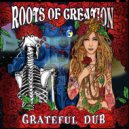 Roots of Creation - Friend of the Devil