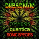 Cosmosis, Quantica, Sonic Species - Dubadelic