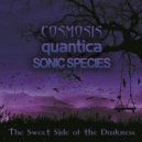 Cosmosis, Quantica,Sonic Species - The Sweet Side of Darkness