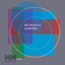 Detrusch - Reflection
