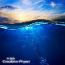 Conciliator Project - Autumn Exacerbation