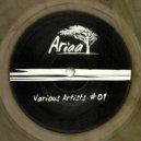 Kivva - Arp Signal