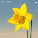 FX909 - Narcissus