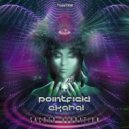 Pointfield & Ekahal - Sacred Vibration (Live Mix)
