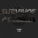 12-Bis - 4N20 (Original Mix)