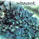 Rhizomorphic - As Above Crumbled Below