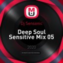 Dj Sensonic - Deep Soul Sensitive Mix 05