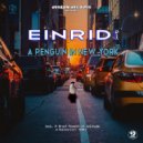 Einridi - A Brief Moment of Solitude (Or