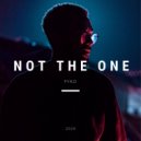 Pyro - Not the One