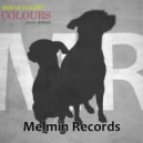 Babak Haleky - Colours
