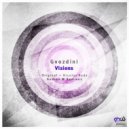 Gvozdini - Visions