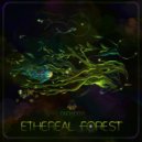 Awwen - Ethereal Forest
