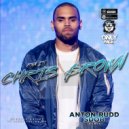 Chris Brown - Run It