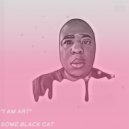 Some Black Cat - F'n Around (The Funk)