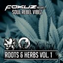 Scott Allen - We Nah Run