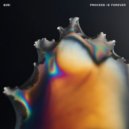Biri - Process Is Forever
