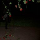 Nastia Reigel - Disarm to Surrender