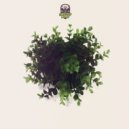 Alborosie - Herbalist (Matt Neux DnB Bootleg)