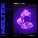 Meltek - Need You