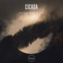 Poor Pay Rich - Cicada