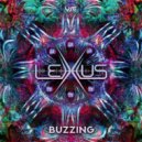 Lexxus (DE) & Goabel - Feels Like Buzzing