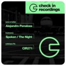 Alejandro Penaloza - The Night