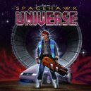 Spacehawk - Computation