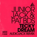 Junior Jack, Pat BDS - Tecky Dream (Audiojack Remix)
