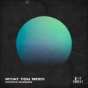 Groove Sinners - What You Need