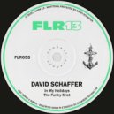 David Schaffer - In My Holidays