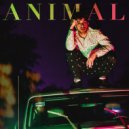 Naman - Animal