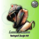 Lasso D'Amore - Falling Into You