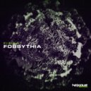 Fizika - Forsythia