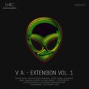 VERV - Consciousness