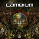 Cambium - Artemisia Mutellina