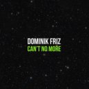 Dominik Friz - Can't No More