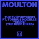 The SyntheTigers feat. Tobirus Mozelle - Shine