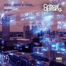 Steve Dekay & H.M.B.L. - Aeryals