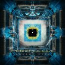 Perspective - Profound Records