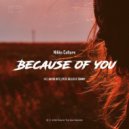 Nikko Culture - Because of You