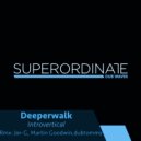 Deeperwalk - Introvertical
