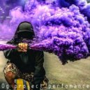 OG Project - Perfomance