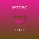 Antenat - Koine